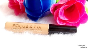 Makeup Revolution Focus and Fix Liquid Concealer Reviews and Swatche Makeup Revolution Concealer review Dusky indian blogger beauty blogger concealer review