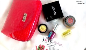 February 2016 Fabbag India Fabbag 2016 Dusky Indian blogger Indian blogger 