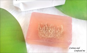 Imli Street Wild Rose with Loofah Bathing Bar review Imli Street Wild Rose soap Imli Street rose soap review Imli Street review Indian beauty blog Dusky indian blogger Rose soap review 