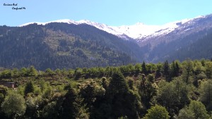 Manali Room view :)