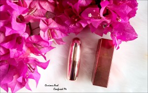 Chambor Orosa Lip Perfection Lipstick in Berry Crush 553 review Chambor Orosa Lipstick Berry Crush review Chambor Orosa Lipstick Review Chambor Pink lipstick review Dusky Indian blogger Indian beauty blog Lipstick for Dusky Skin 