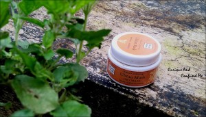 Aura Vedic Ritual Cleansing Ubtan Mask review, Aura Vedic Ubtan Mask review, Aura Vedic face mask review, Aura Vedic products, All natural face mask review, Paraben free mask India review, Indian beauty blog, Dusky Indian blogger