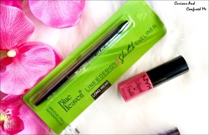 Indian beauty blog, haul post, Nyx cheek tint, MIss claire butter gloss, Coloressence long lasting lipstick, Blue heaven pen eyeliner