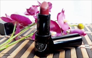 PAC lipstick India, Pac Matte lipstick review swatch, Pac matte lipstick 17, Pac Matte lipstick price, PAc lipstick Price, PAC matte lipstick online, Best oxblood shade for indian skintone, Oxblood shade, Best matte lipstick india, Cheap matte lipstick india, Affordable lipstick India