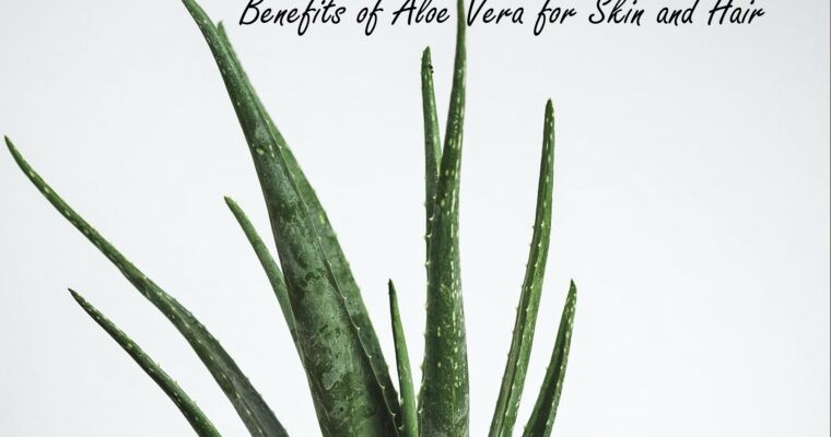 7 Amazing Benefits of Aloe Vera for Skin and Hair